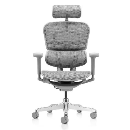 Devis Fauteuil professionnel ergonomique ERGOHUMAN CLASSIQUE