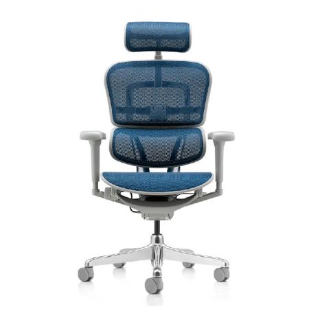 Vente Fauteuil professionnel ergonomique ERGOHUMAN CLASSIQUE (SIEGES & COMPAGNIE)