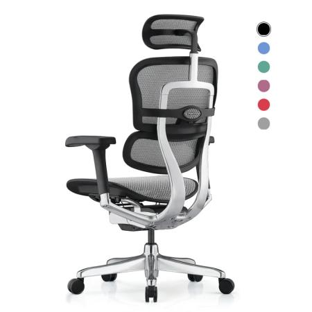 Siège ergonomique professionnel ERGOHUMAN ELITE