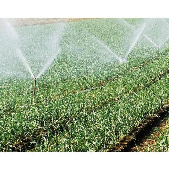 Appareil de traitement de l'eau dure pour l'agriculture et l'élevage