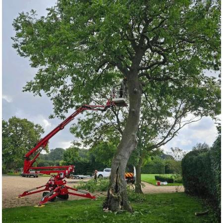 Achat Nacelle araignée sur chenilles 18m polyvalente S18F