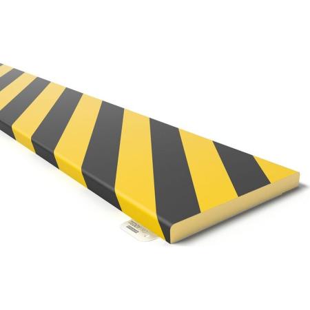 Profilé de protection plat à visser TEDDY PRO FL150 SSB