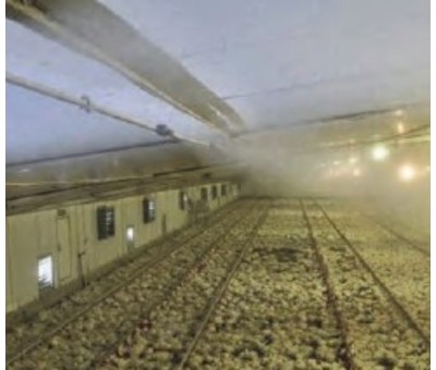 Brumisation haute pression pour activité agricole - serre - élevage