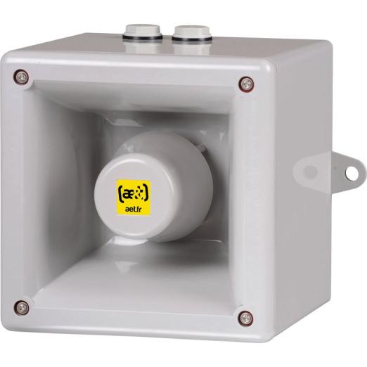 Avertisseur vocal Radio LoRa 126 dB  SmartVOX® - ae&t