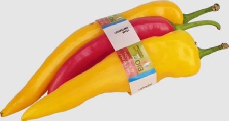 Fabricant Banderoleuse à bande pour fruits légumes US-2000 TR-AST-MDM-P-V-R