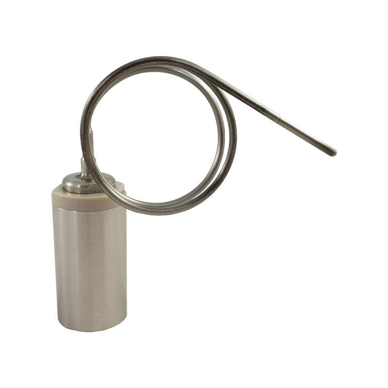 Enregistreur de température à sonde externe déformable